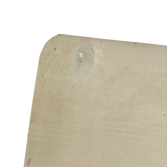 Charles Delort Vintage Decoy Ducks Lithograph Art Print - Picture 3 of 8